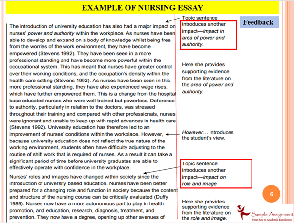 Example of Nursing Essay 2
