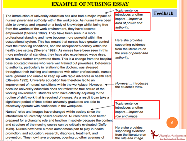 Example of Nursing Essay 3