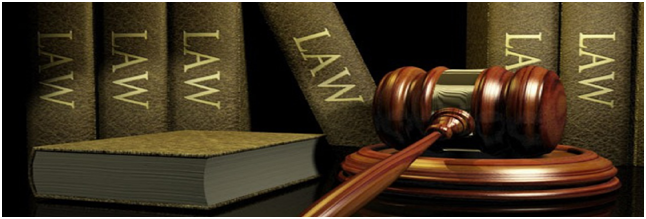 Law Assignment Help Now From The Industry Experts