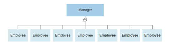 Flat organizational structure