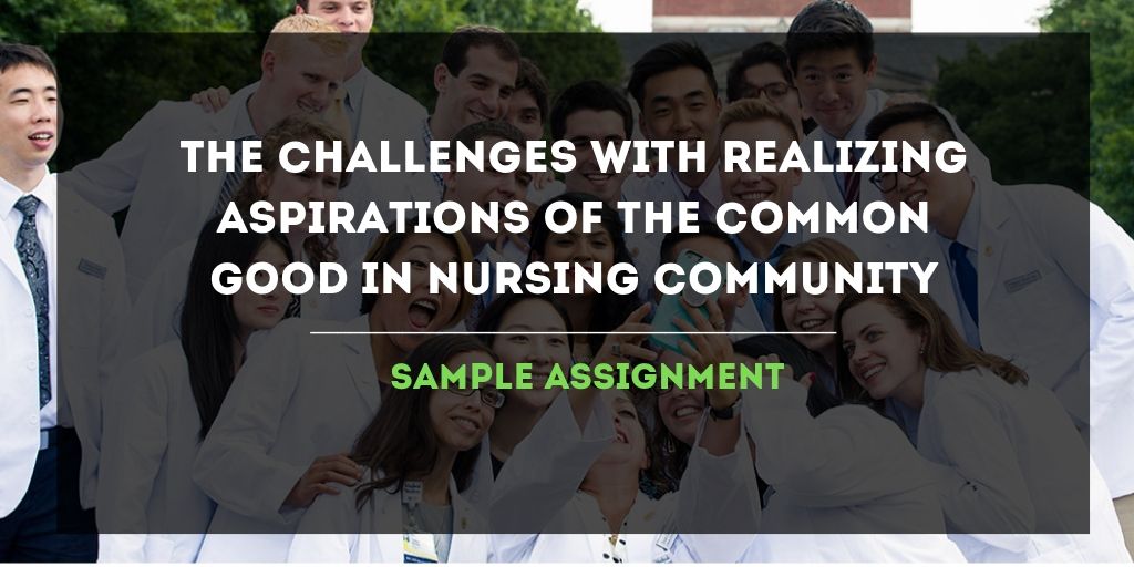 The Challenges With Realizing Aspirations Of The Common Good In Nursing Community