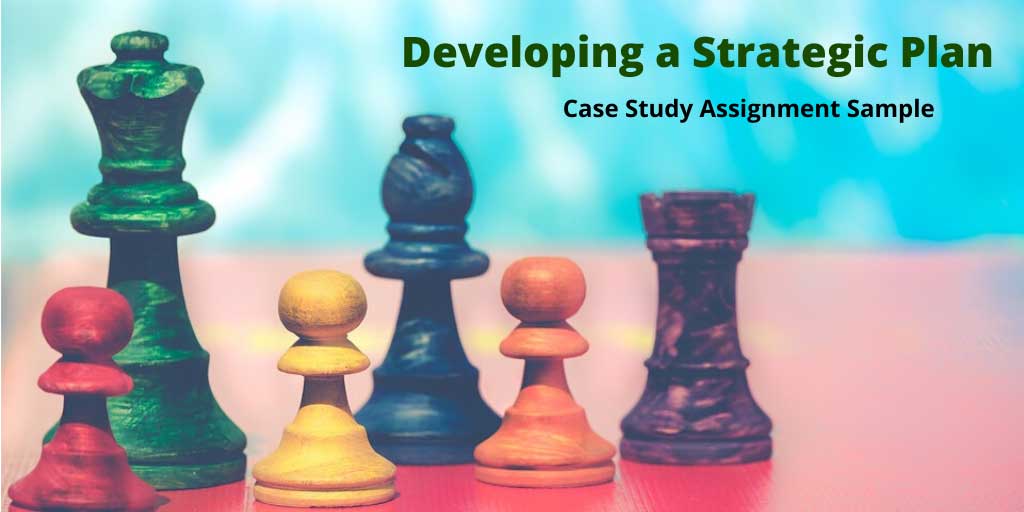 Developing a Strategic Plan: Case Study Assignment Sample