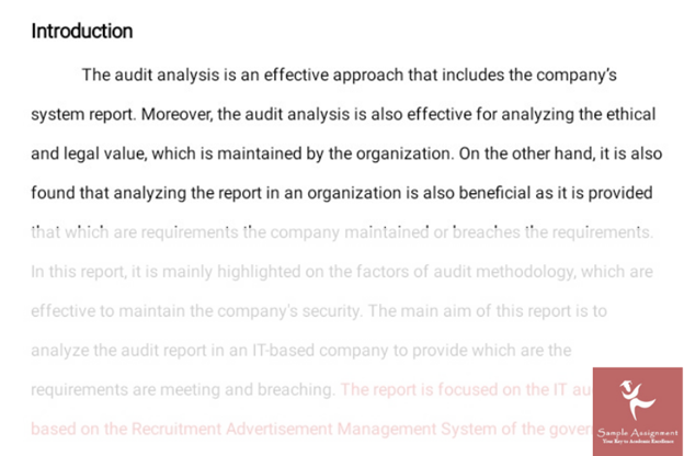 audit report example