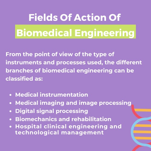 biomedical engineering assignment help canada