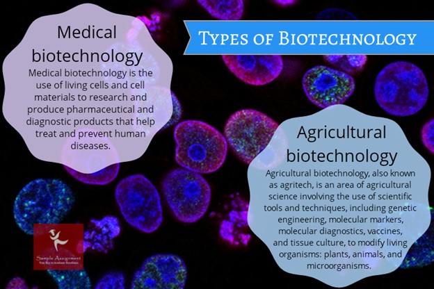 biotechnology homework help