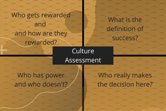 cultural assessment