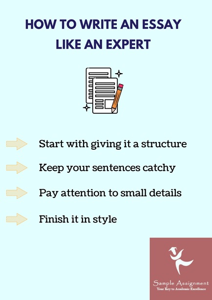 essay writing experts