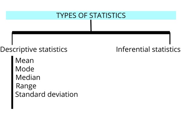 statistics assignment help service