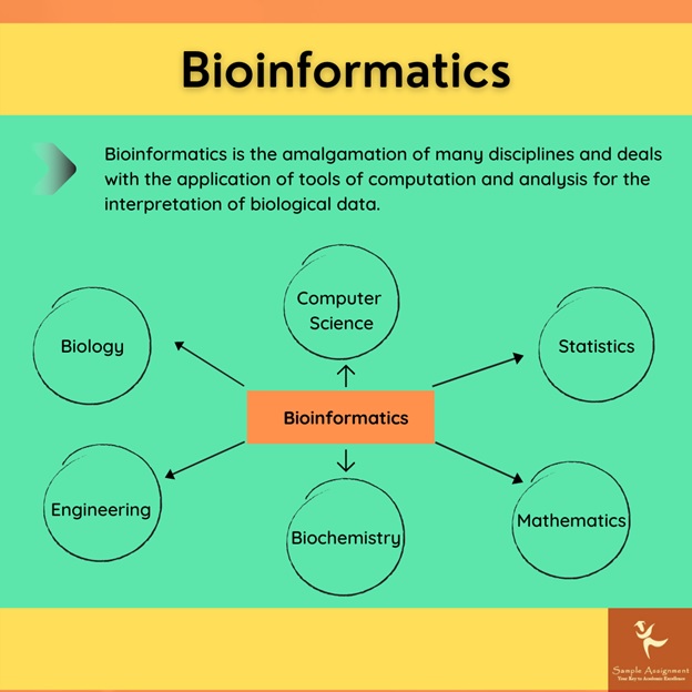 bioinformatics assignment help