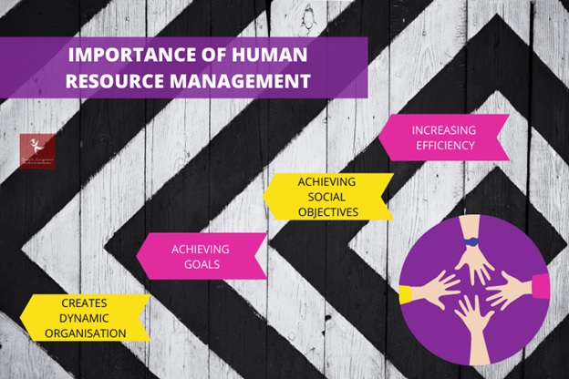importance of human resource management