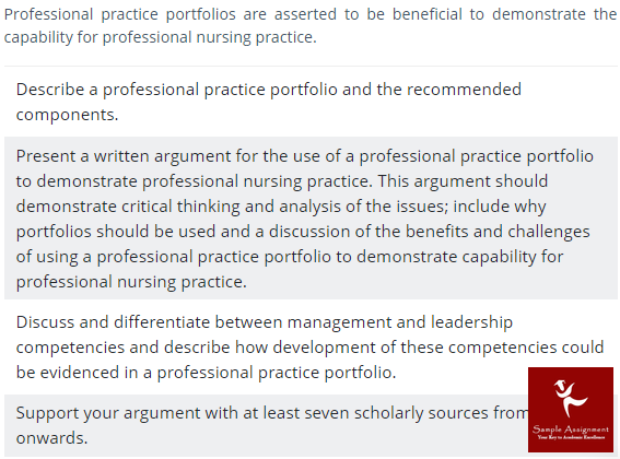 Professional practice portfolio
