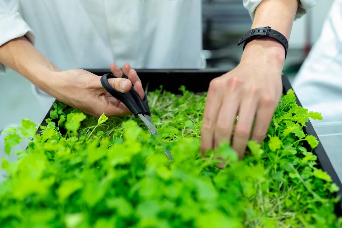 agricultural engineering assignment help