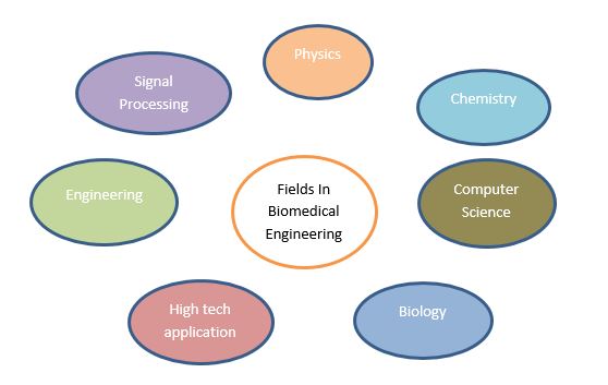 biomedical engineering assignment help