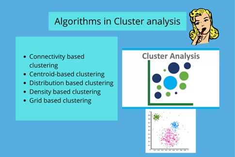 cluster analysis assignment help