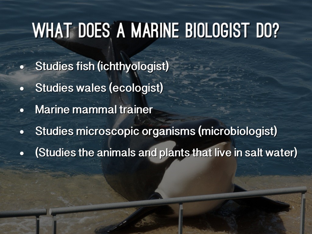 Marine Biology Assignment Help