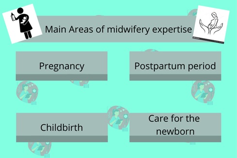 midwifery assignment help