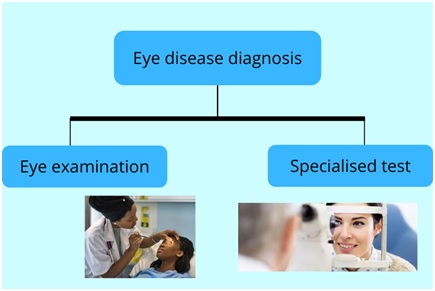 ophthalmology assignment help services