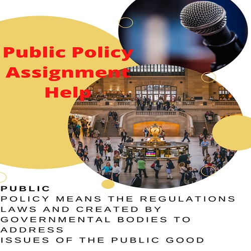 public policy assignment help