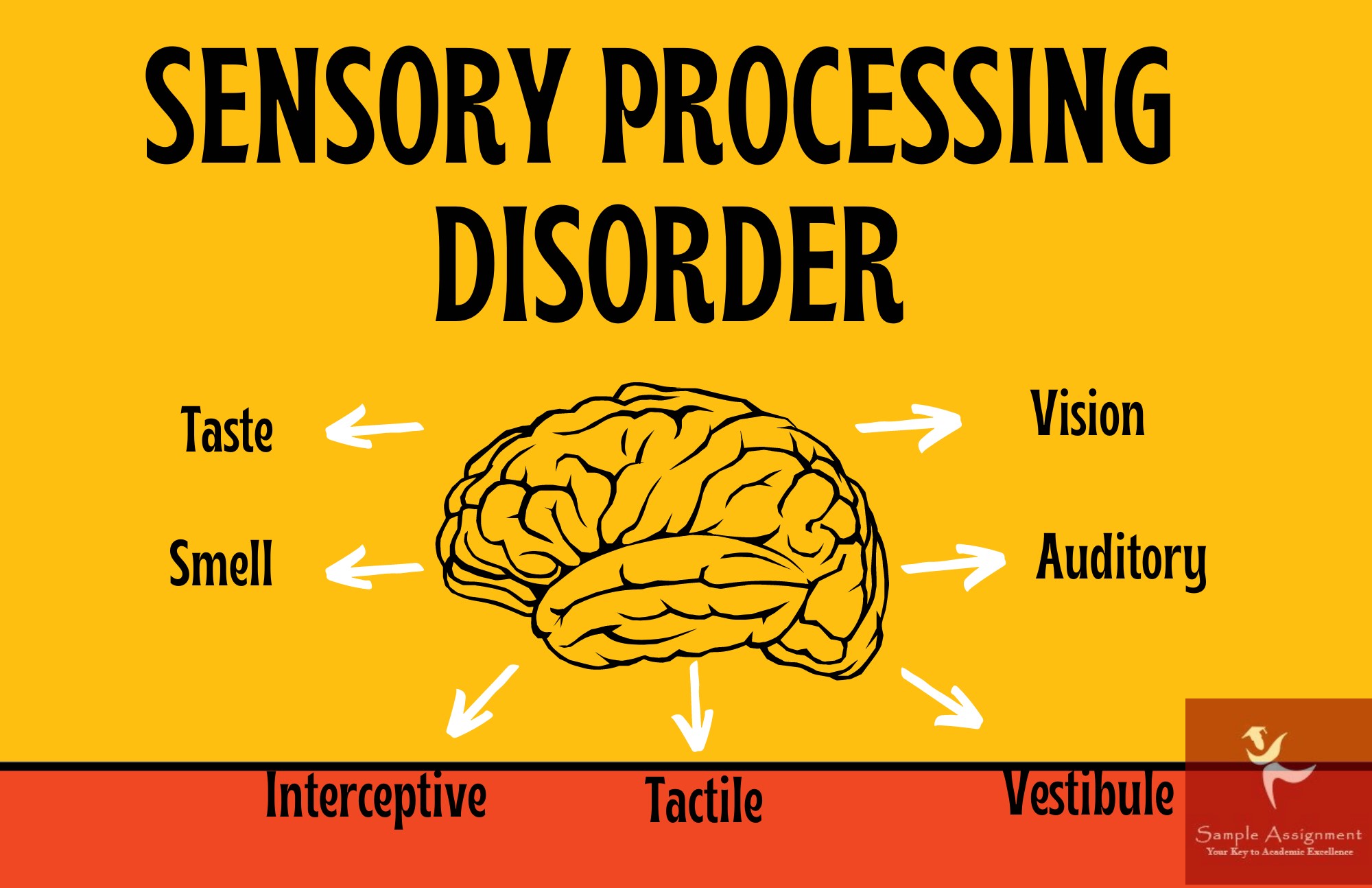 sensory disorder assignment help
