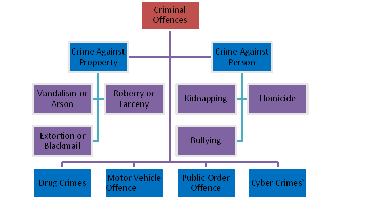 types of criminal law