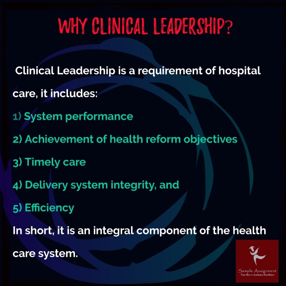 clinical leadership