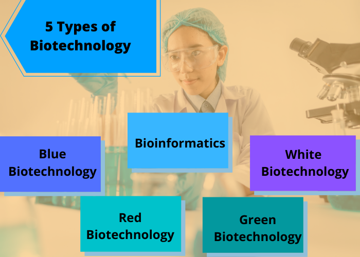 5 types of biotechnology