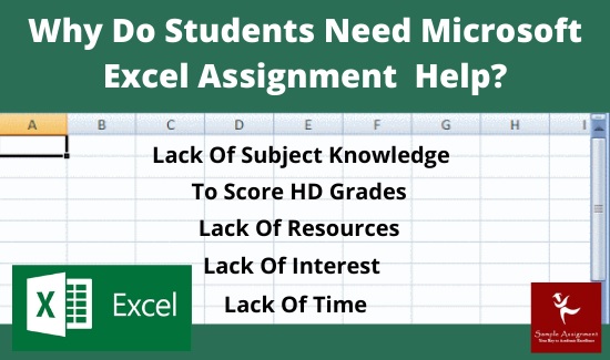 Microsoft Excel Assignment USA