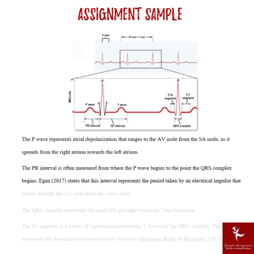 advanced system physiology assignment sample