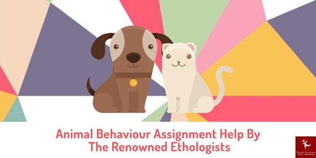 animal behavior assignment help