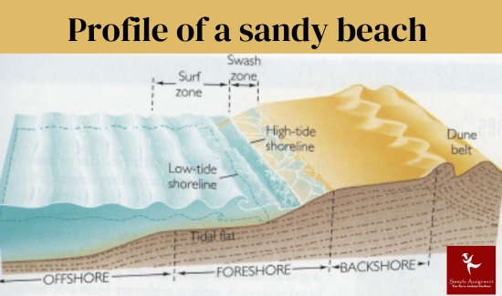 profile of a sandy beach