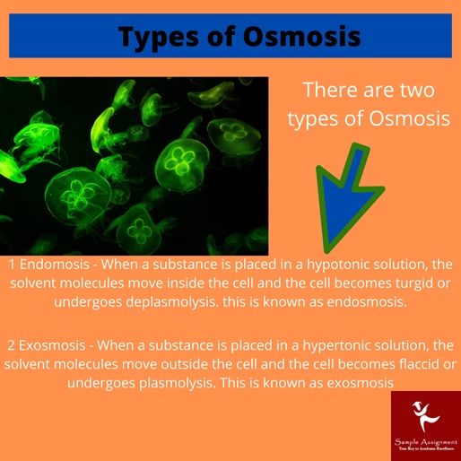 types of osmosis
