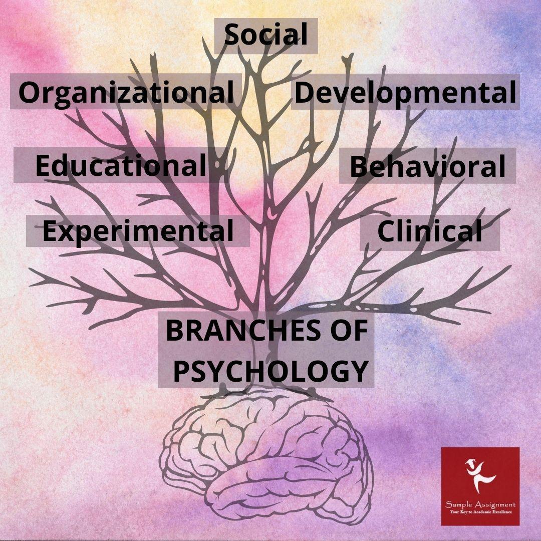 branches of psychology