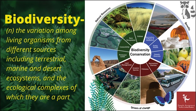 biodiversity homework services online