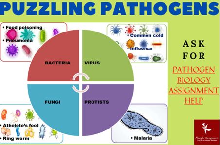 Pathogen Biology Assignment Help Puzzling Pathogens