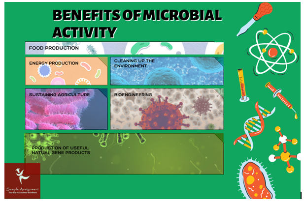 benefits of microbial activity jpg