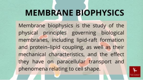 membrane biophysics assignment