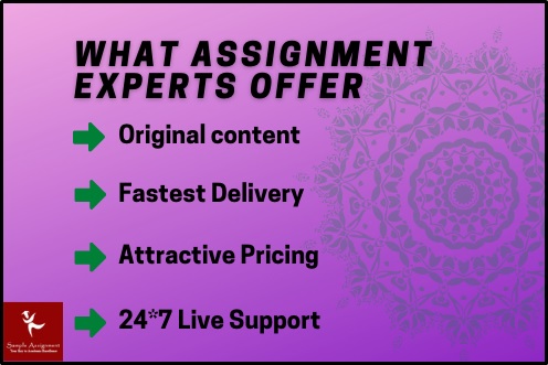 what assignment experts offer