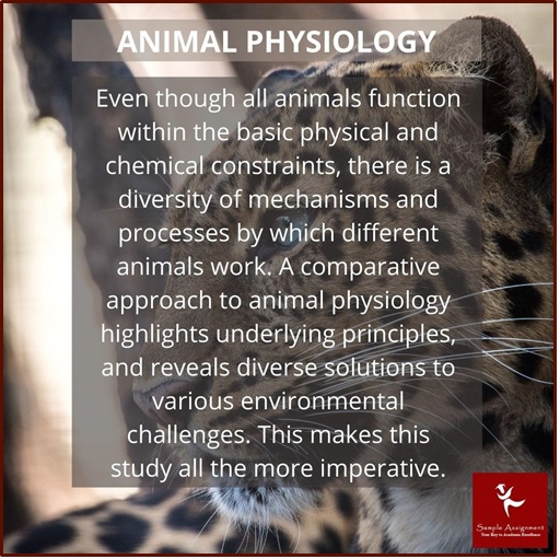animal physiology homework help