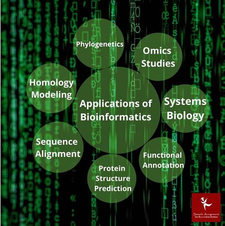 bioinformatics Homework help