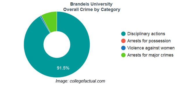 brandeis university assignment help example