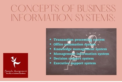 business information system homework