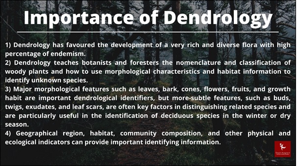 dendrology