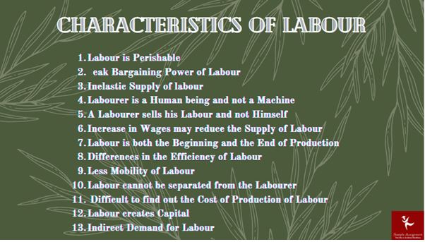labour economics assignment help