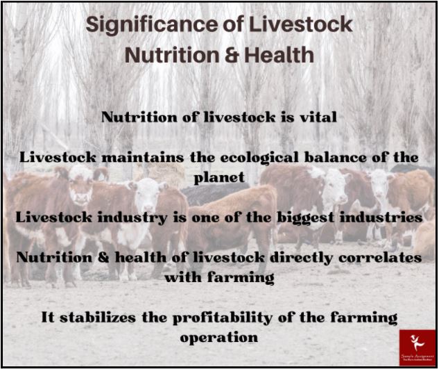 livestock nutrition and health assignment