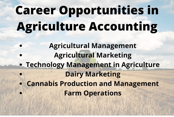 FIN311 agricultural accounting and business law assessment answer objectives