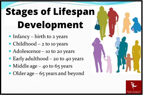 health and lifespan development assignment help