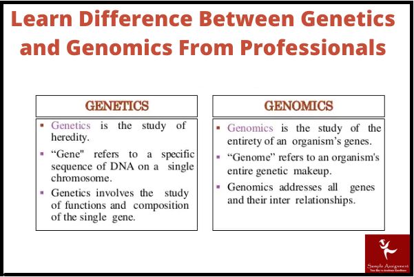 sle254 genetics and genomics assessment answer