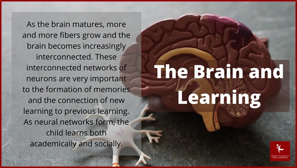 102207 the brain and learning assessment answers