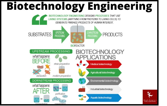 biotechnology engineering assignment help
