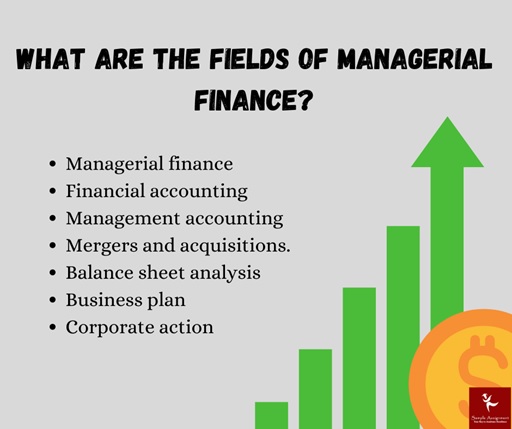 fin9014 m managerial finance field assessment answer
